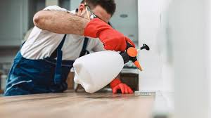 Best Pest Prevention Services  in Arden Hills, MN